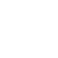 renault (1)